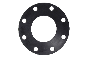 Flange Gasket